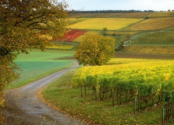 France - Countryside view