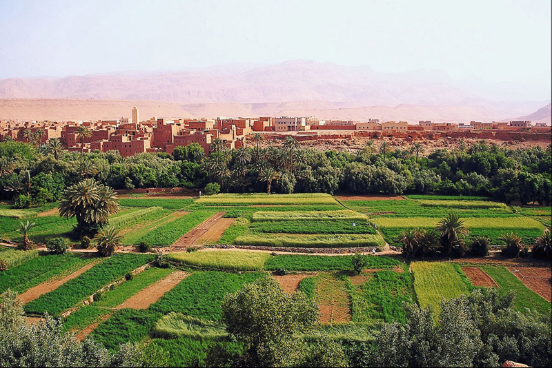 Morocco - Marrakesh