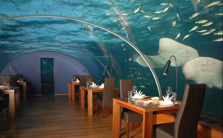 Ithaa Underwater Restaurant - Amazing scenery