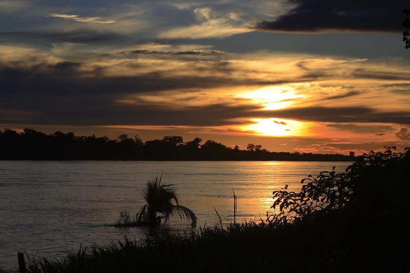 Amazon - Amazon river view