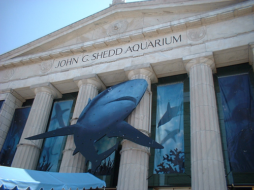 Shedd Aquarium - Shedd Aquarium exterior view