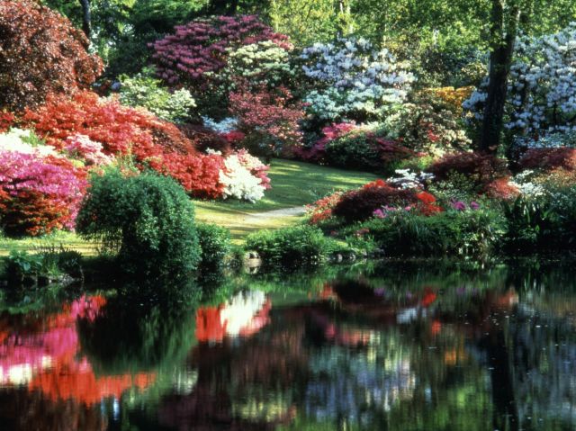 Exbury Gardens in UK - Colourful setting