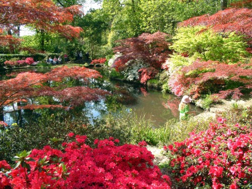 Exbury Gardens in UK - Incredible scenery