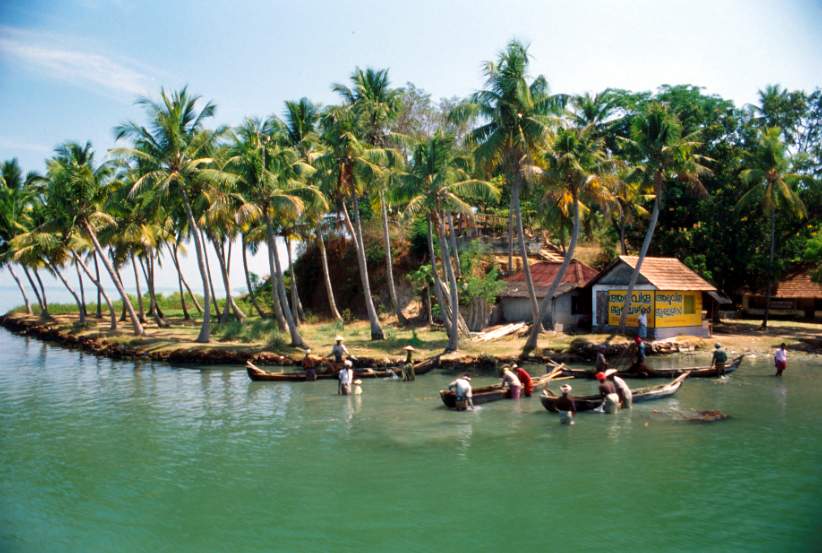 Kerala Backwaters - Beautiful landscape