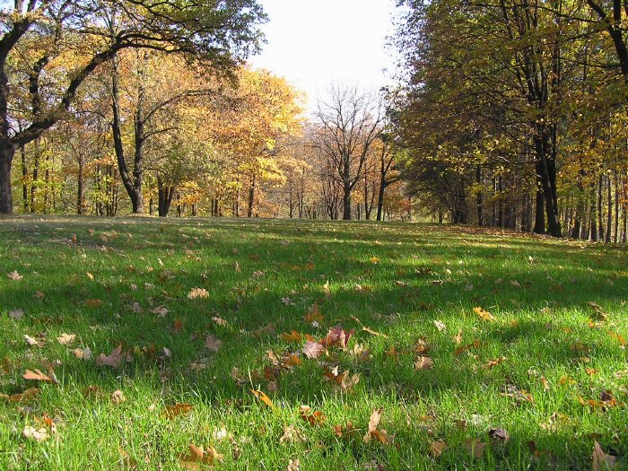 Sofiyivsky Park - Beautiful landscape