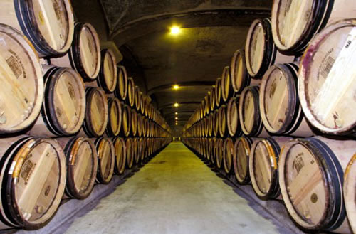 France - Cellars of Bordeaux