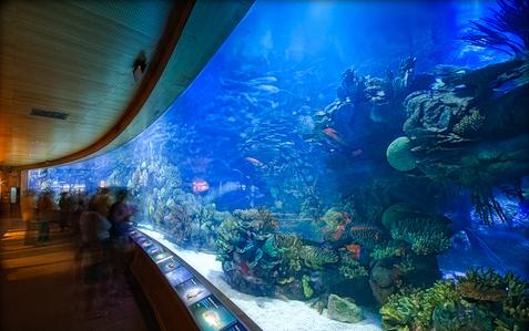 The Aquarium in Valencia, Spain - Inside view 