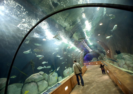 The Aquarium in Valencia, Spain - View from the tunnel