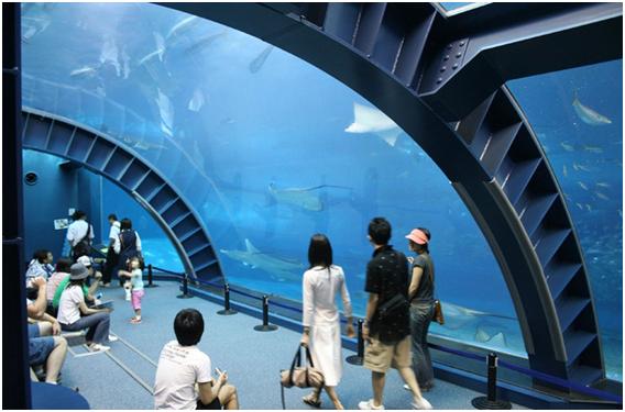 The Okinawa Churaumi Aquarium, Japan - Churaumi Aquarium