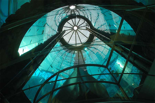 The AquaDom in Berlin, Germany - Inside view 