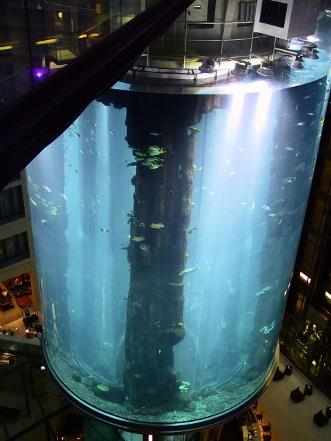 The AquaDom in Berlin, Germany - The world