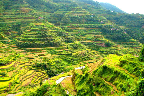 Banaue Rice Terraces In Philippines Top Wonders Of The World You Did Not Know About