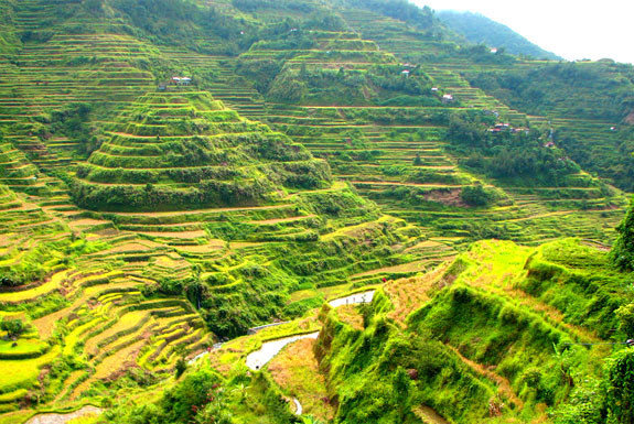 Banaue Rice Terraces in Philippines - Overview