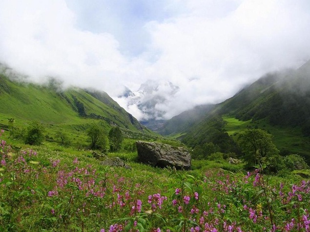 Valley of Flowers in the Himalayas, India - Great scenery