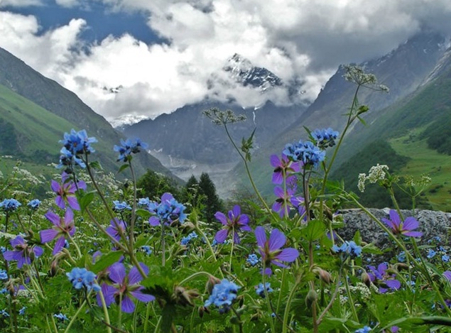 Valley of Flowers in the Himalayas, India - Scenic landscape