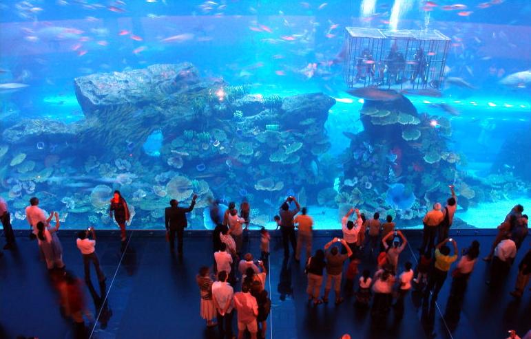Dubai Aquarium & Discovery Centre, United Arab Emirates - Dubai Mall Aquarium