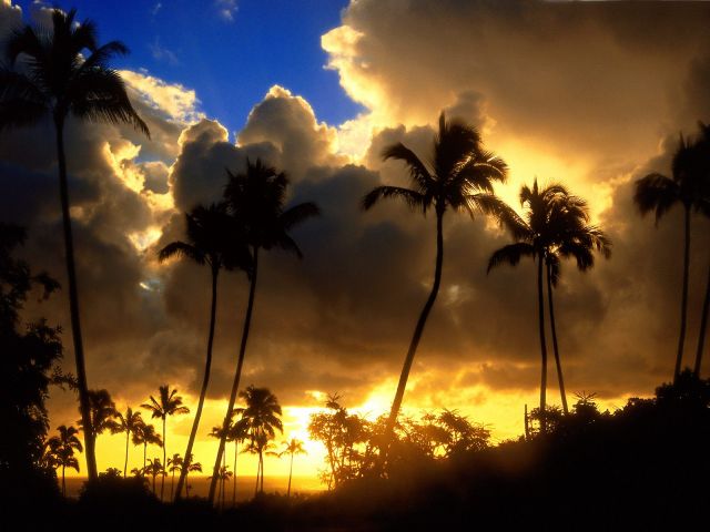 Hawaii - Beautiful sunset 
