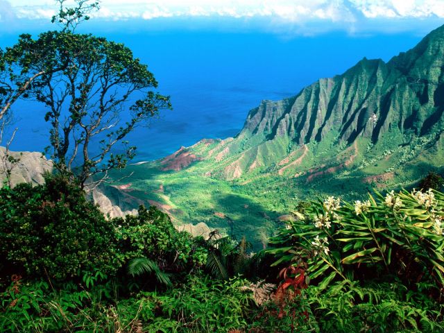 Hawaii - Hawaii beauty