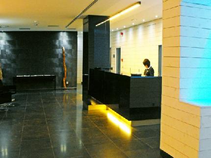 Hotel Zenit Conde de Orgaz - Reception