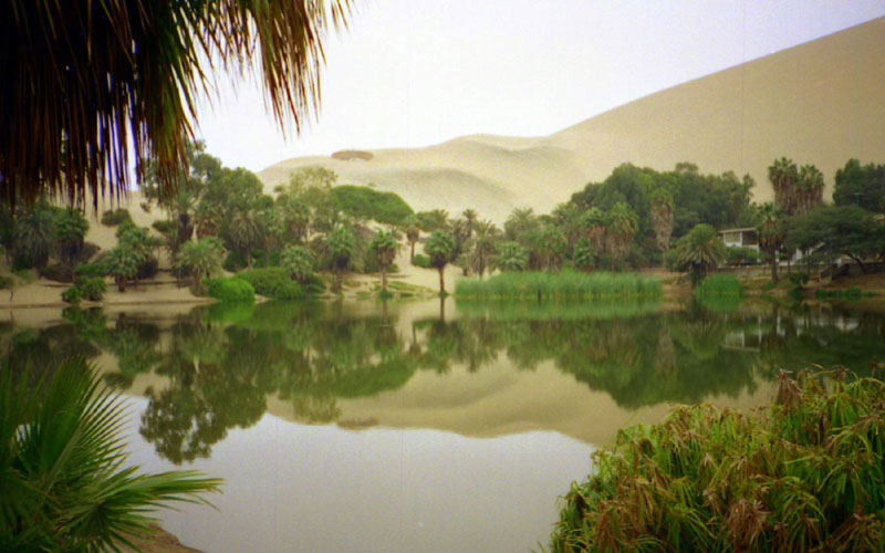 Huacachina in Peru - Greenish spot