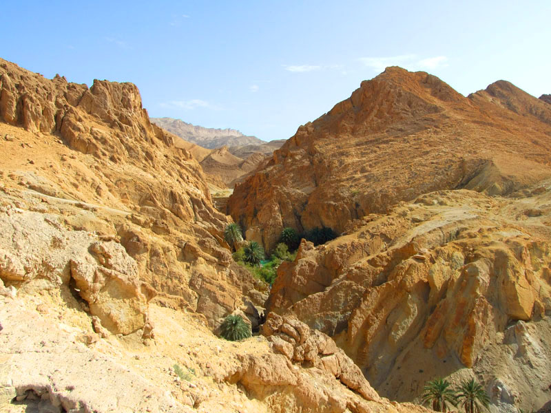 Chebika Oasis in Tunisia - General view