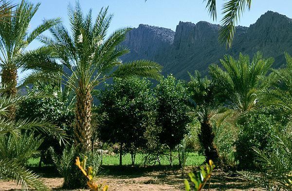 Timia Oasis in Niger