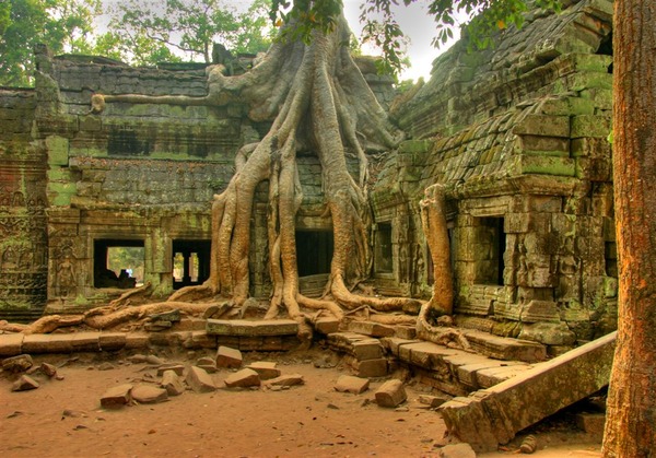 Angkor Wat in Cambodia - Ta Prom Temple