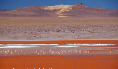 Red Lagoon in Bolivia  - Panoramic views