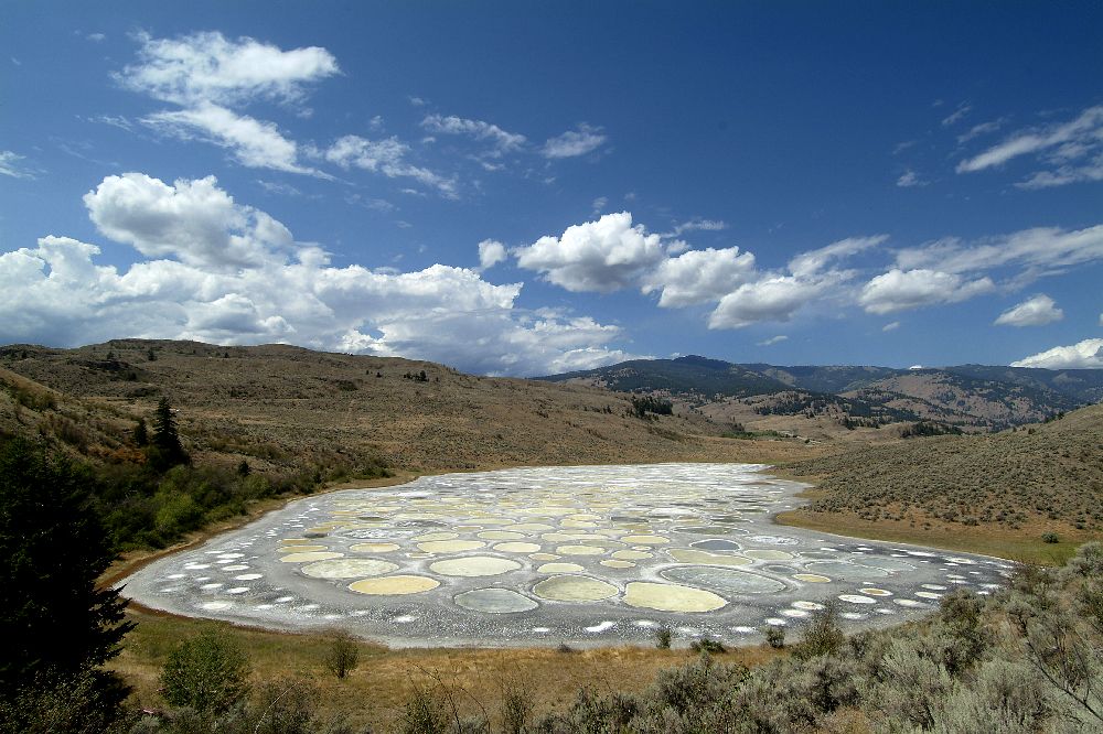 Spotted Lake in Canada - General view