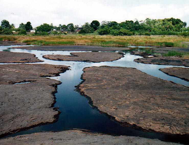 Pitch Lake in Trinidad - General view