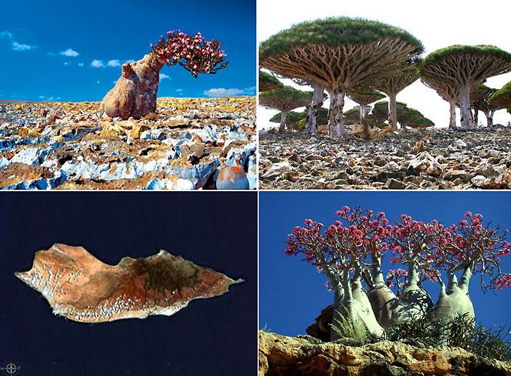 Socotra Island in Yemen - General view