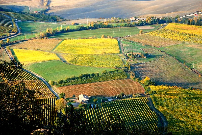 Montalcino Wine Tour - Aerial view