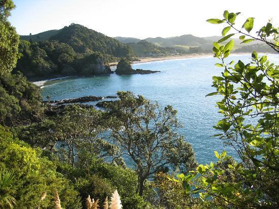 New Zealand - Beautiful landscape