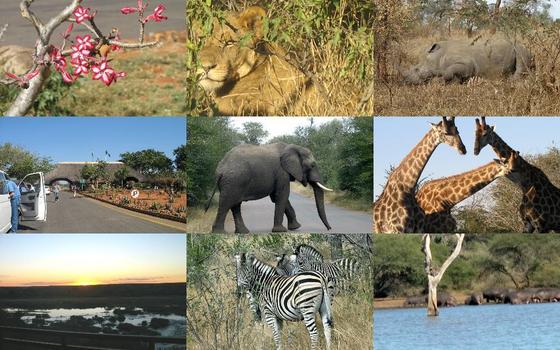 National Park Kruger - Overview