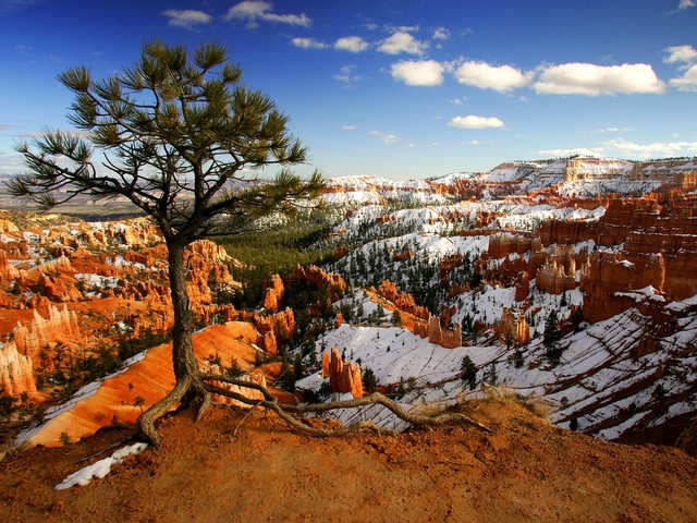 Bryce Canyon National Park in Utah - Winter time