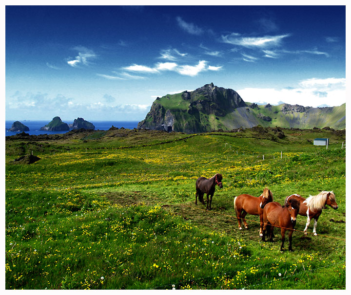 Iceland - The best places to live to escape world conflicts