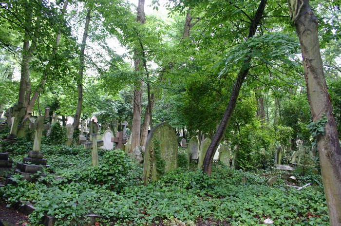 Highgate Cemetery in London, UK - Cemetery view