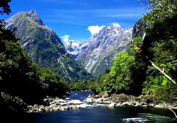 The best cruise in Australia and New Zealand - Fabulous nature in New Zealand