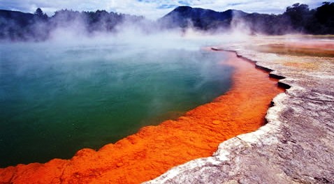The best cruise in Australia and New Zealand - Geysers in New Zealand