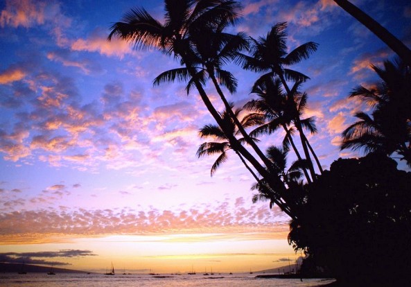 The best Hawaii cruise - Tropical islands