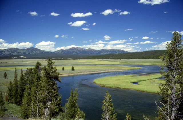 The Yellowstone National Park in Wyoming, USA  - Yellowstone view