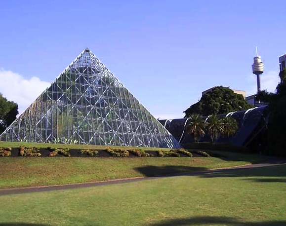  Sydney Royal Botanic Gardens - Tropical center