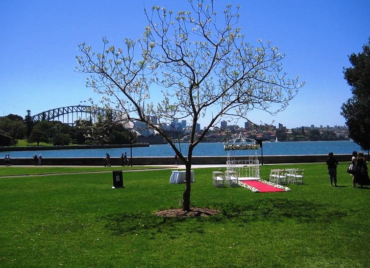 Sydney Royal Botanic Gardens Wedding day
