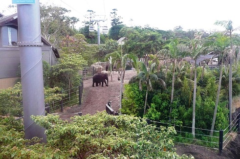 Taronga Zoo - Interior view
