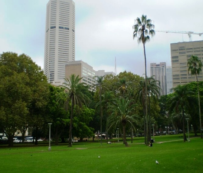 Hyde Park - The best places to visit in Sydney, Australia