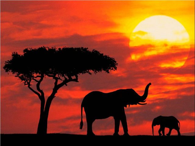 Kenya - Beautiful sunset