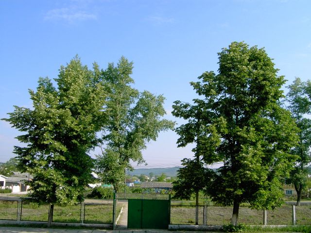 Moldova - Countryside view in Moldova