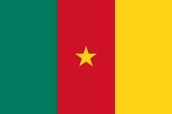 Cameroon - Flag of Cameroon