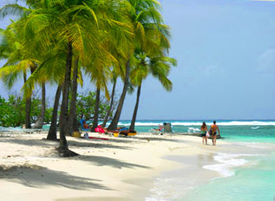 Guadeloupe - Panoramic setting