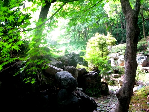 Nagoya - Beautiful park in Nagoya